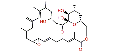Amphidinolide L